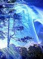 /album/fenykepgaleria/kekfat-1-jpg/