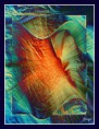/album/kepgaleria-fenykepgaleria/a4-idegen-jpg/