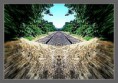 /album/kepgaleria-fenykepgaleria/a6-vaganyveg-jpg/