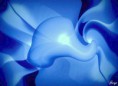 /album/fotografikak/blue-1-jpg/